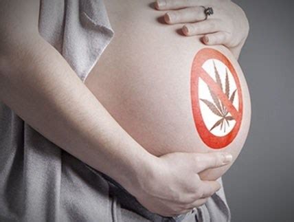 indica flower pregnant|Cannabis, the pregnant woman and her child: weeding out the。